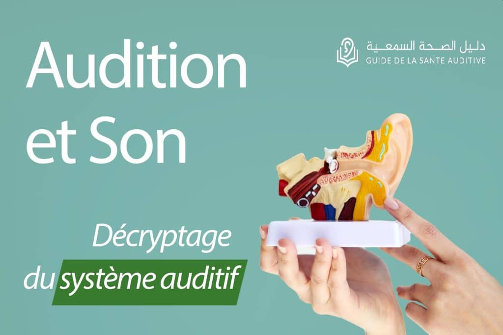 son systeme auditif