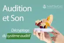 son systeme auditif