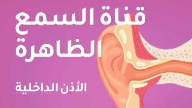 رسم توضيحي لقناة الأذن الخارجية والداخلية
