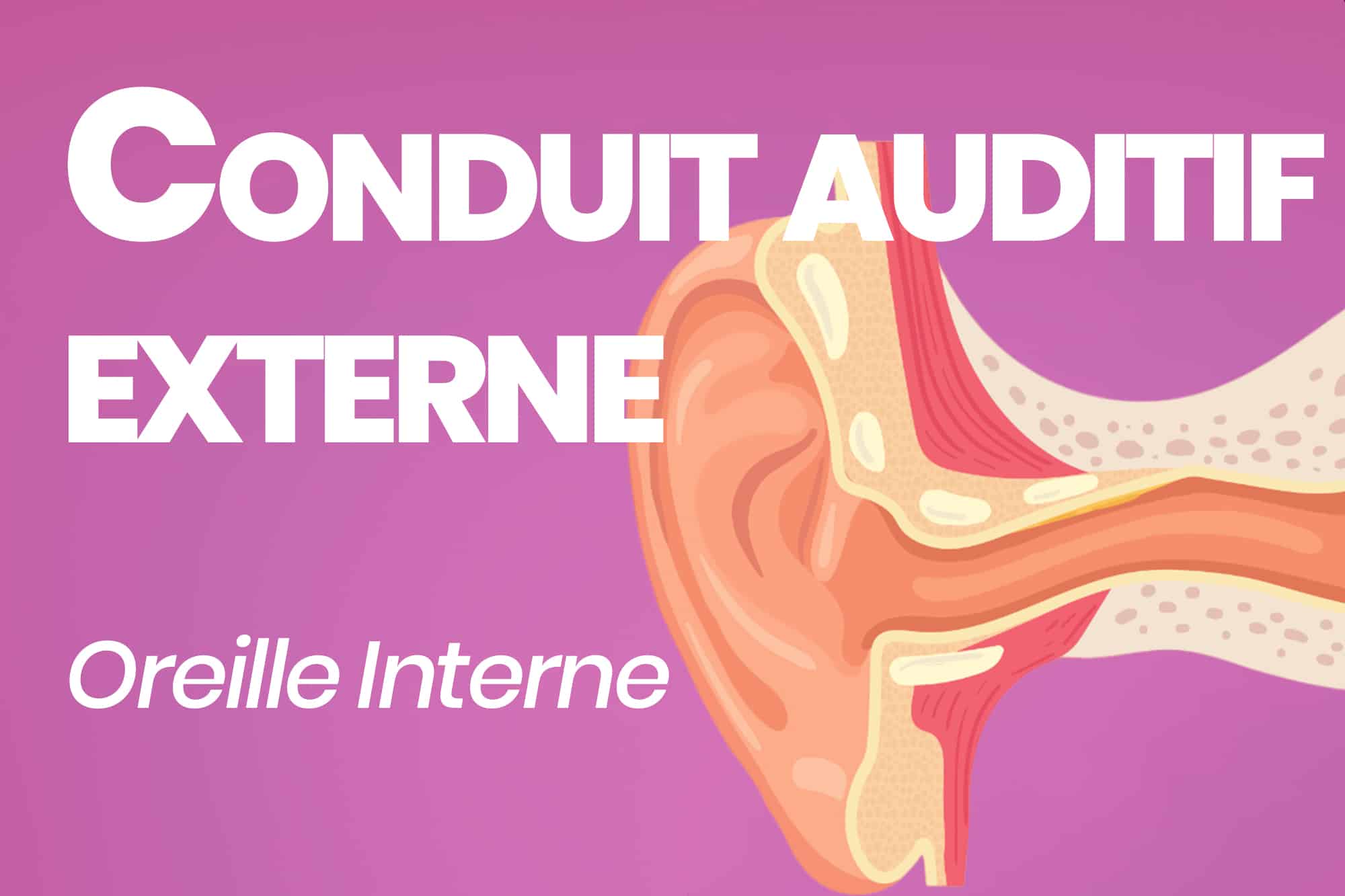Exploration du conduit auditif externe anatomie, pathologies et