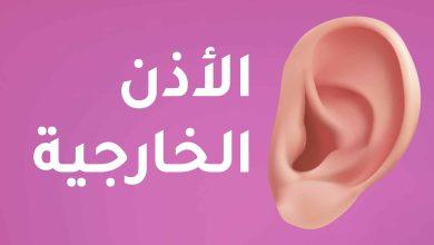الأذن الخارجية على خلفية وردية