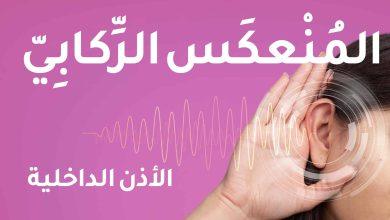 المنعكس الركابي وعمل الأذن الداخلية