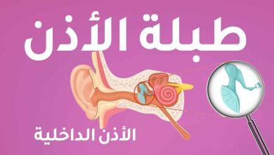 رسم توضيحي للأذن الداخلية والبنية التشريحية.