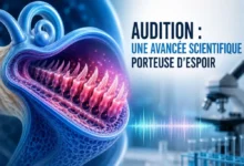 cellules cilies audition